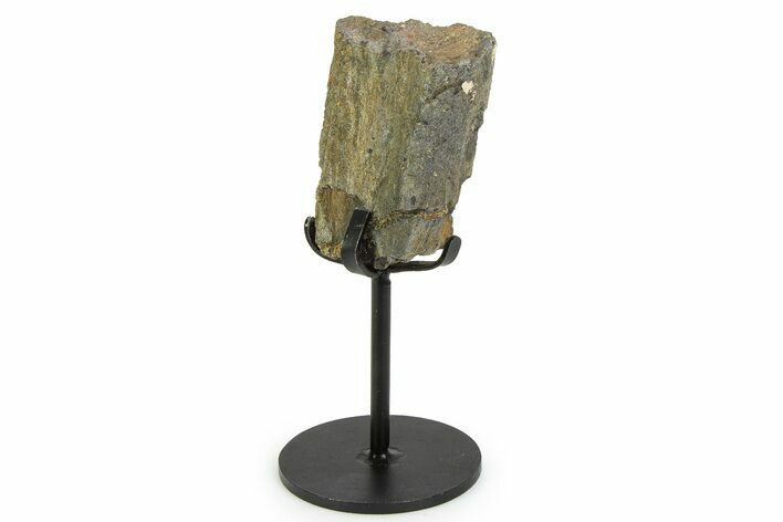 Fossil Theropod Rib Section w/ Metal Stand - Colorado #350608